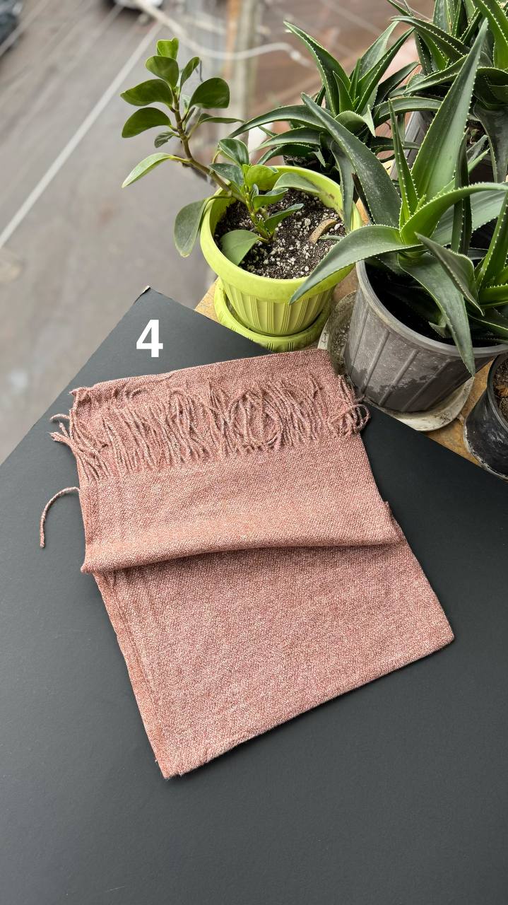 photo_23_2025-09-28_18-01-12