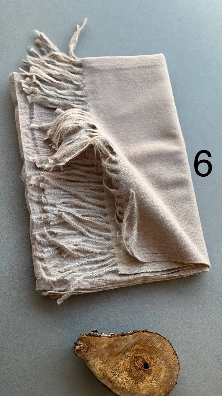 photo_24_2024-11-24_12-15-33