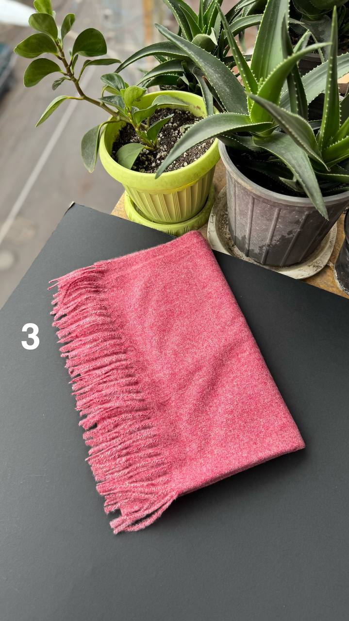 photo_24_2025-09-28_18-01-12