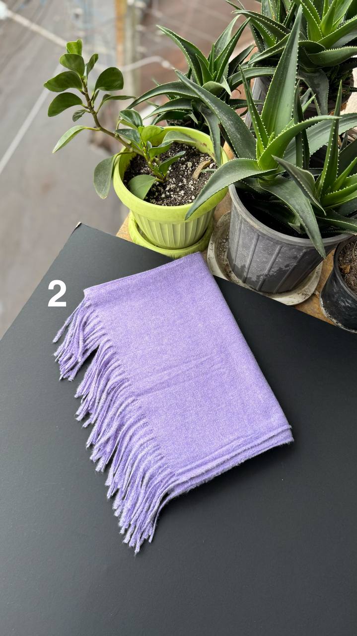 photo_25_2025-09-28_18-01-12