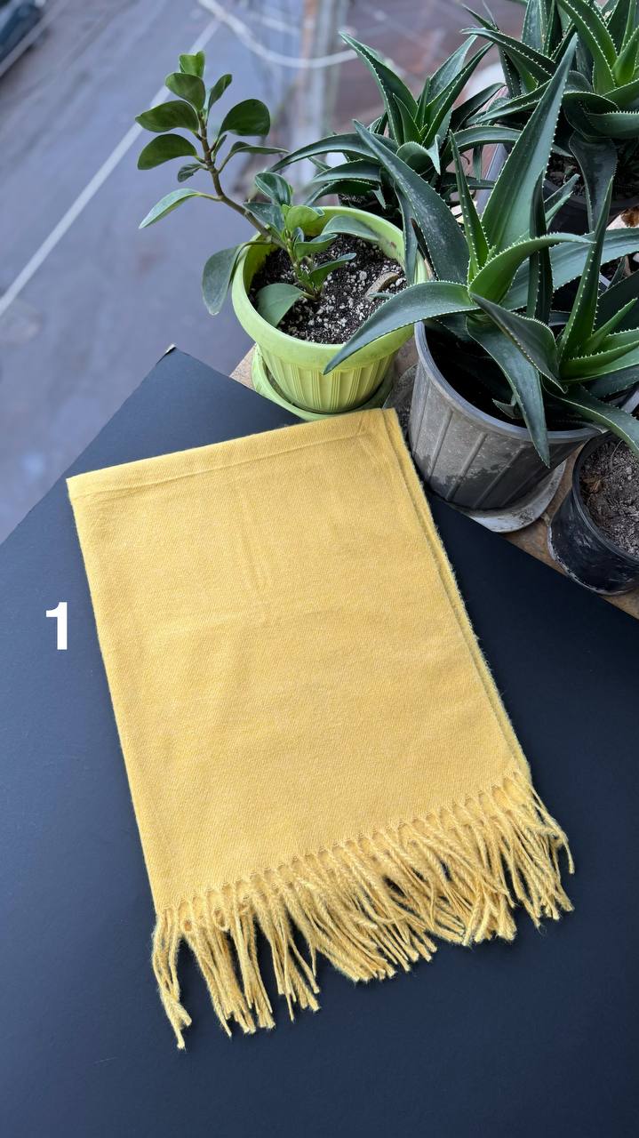 photo_26_2025-09-28_18-01-12