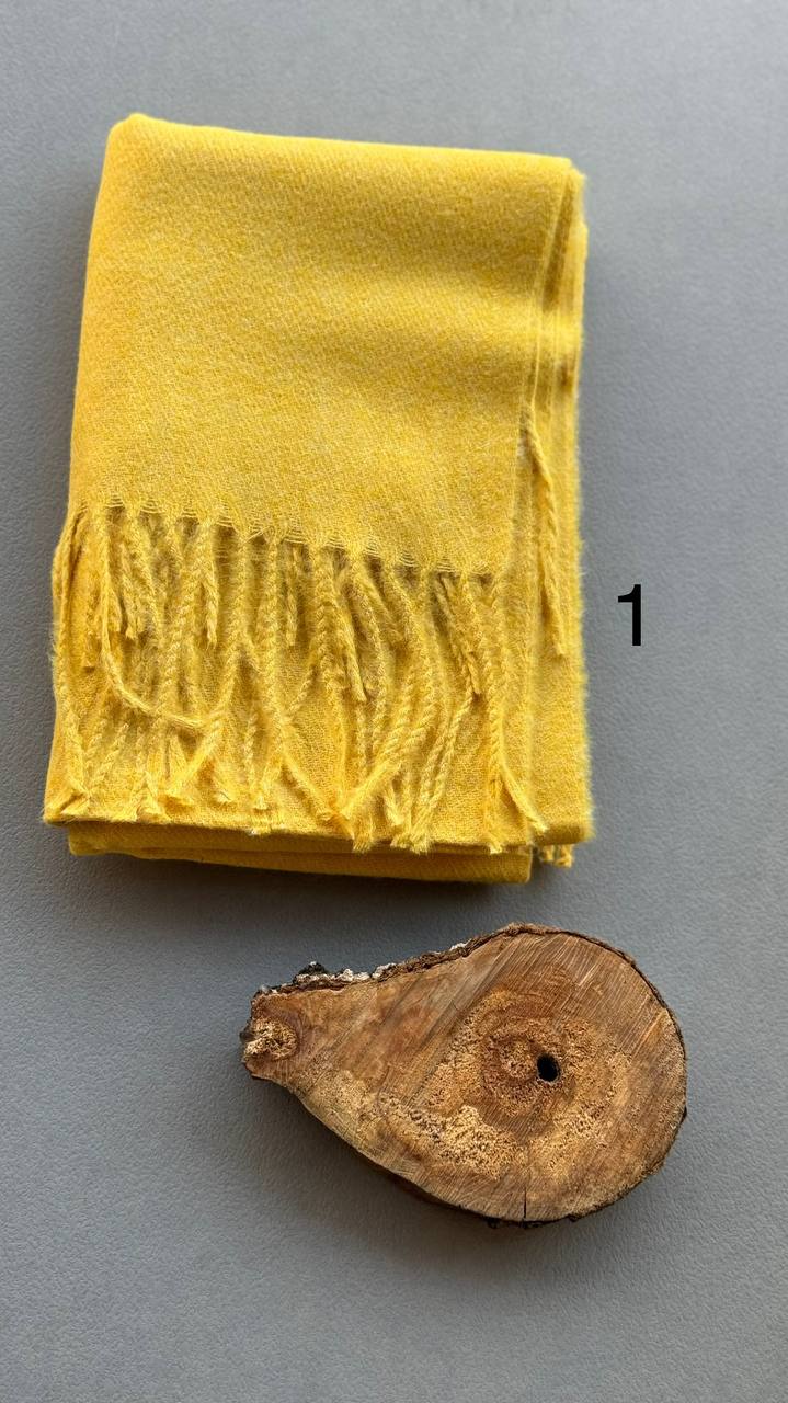 photo_2_2024-11-24_11-23-53