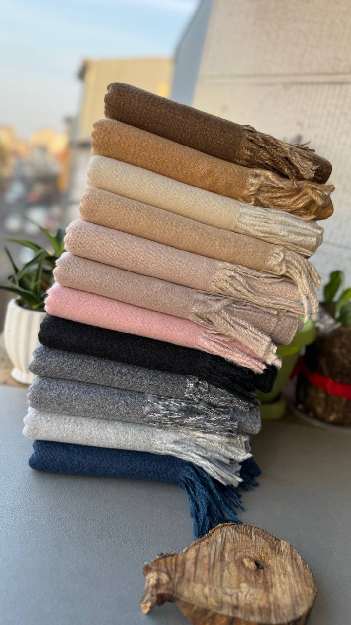 photo_2_2024-11-24_12-15-33