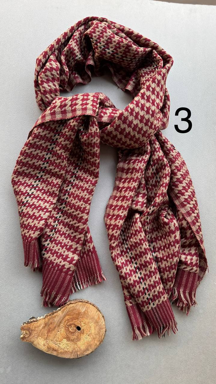 photo_3_2024-11-24_11-12-11