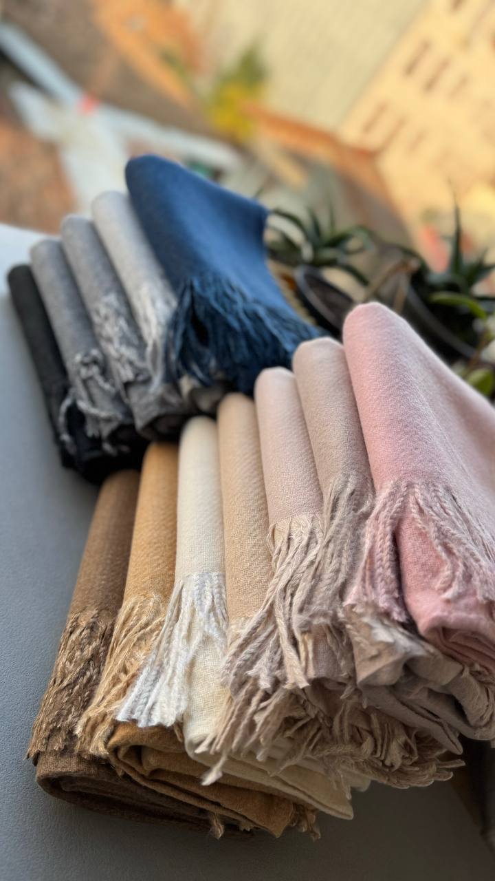 photo_3_2024-11-24_12-15-33