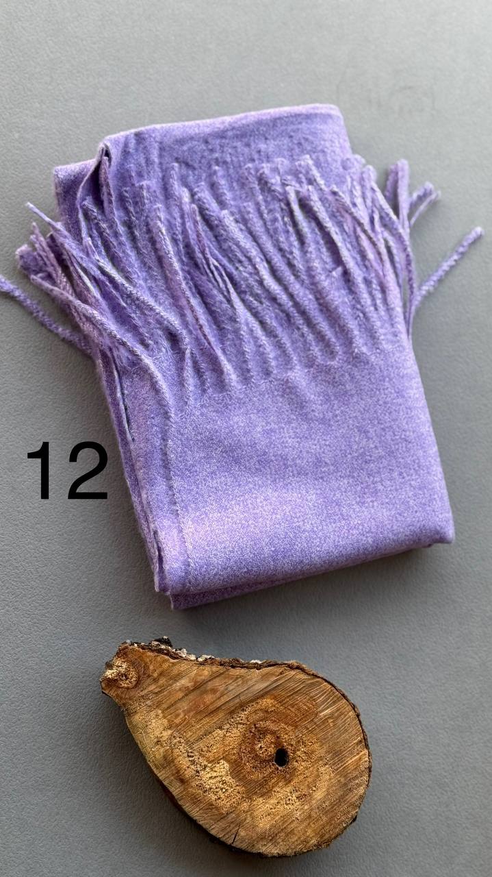 photo_4_2024-11-24_11-23-53