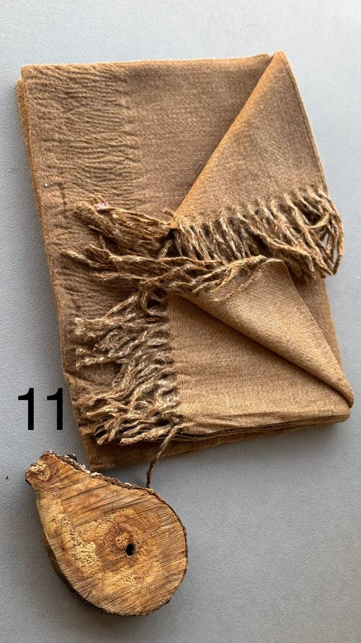 photo_4_2024-11-24_12-15-33