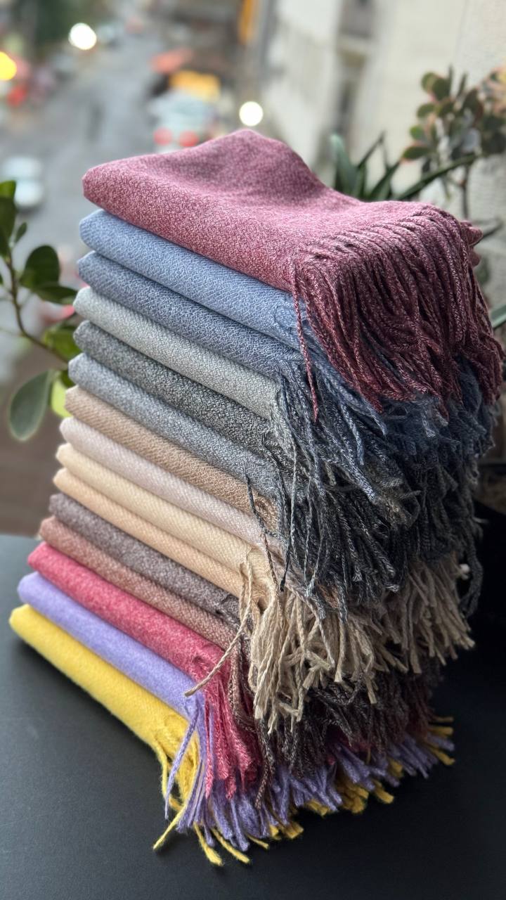 photo_4_2025-09-28_18-01-12