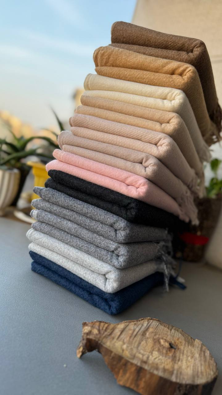 photo_5_2024-11-24_12-15-33