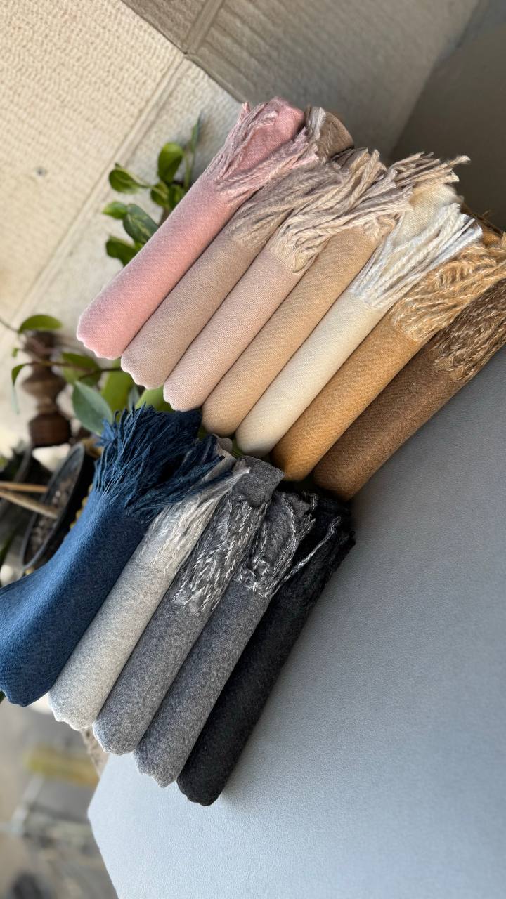 photo_6_2024-11-24_12-15-33