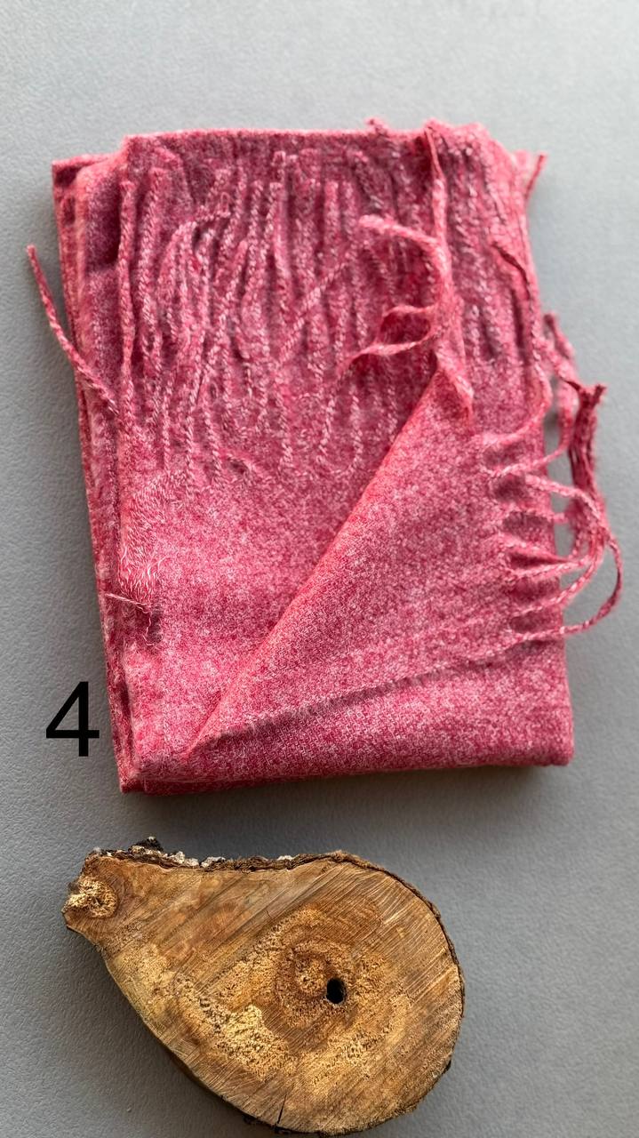 photo_7_2024-11-24_11-23-54