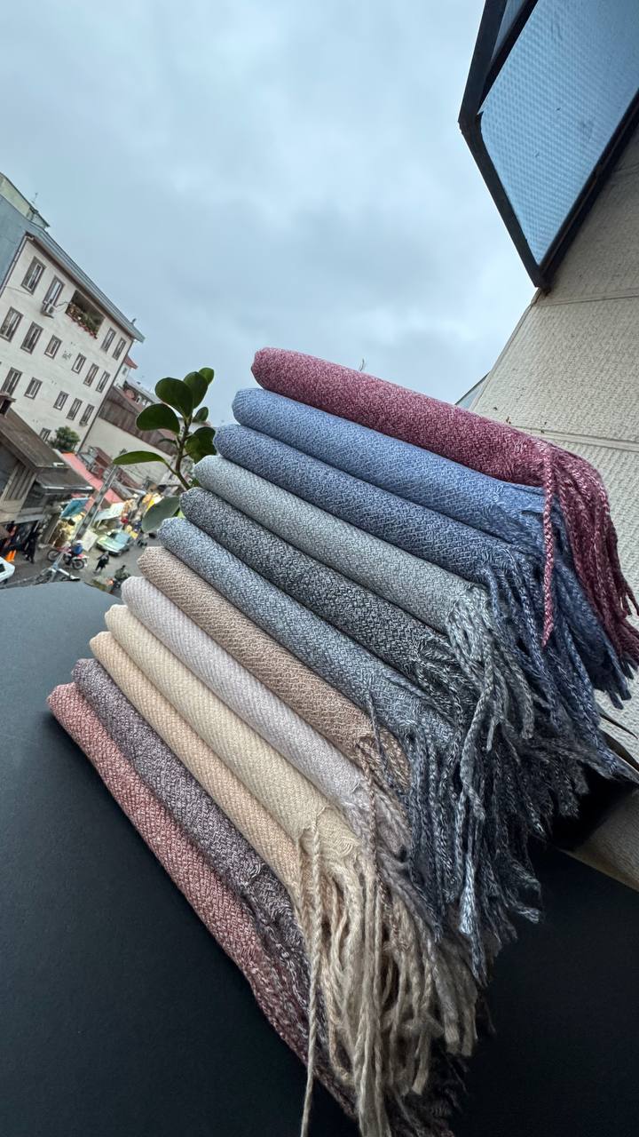 photo_8_2025-09-28_18-01-12