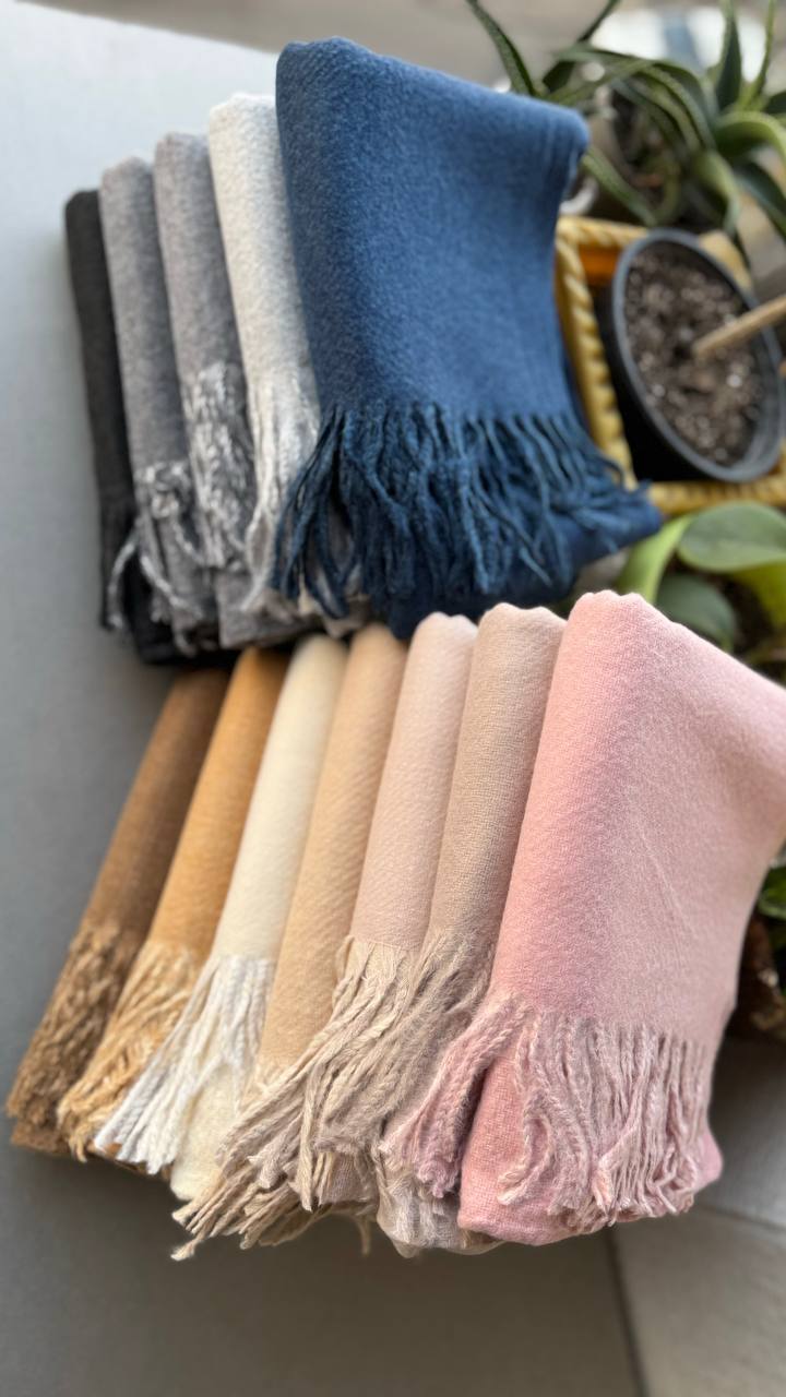 photo_9_2024-11-24_12-15-33