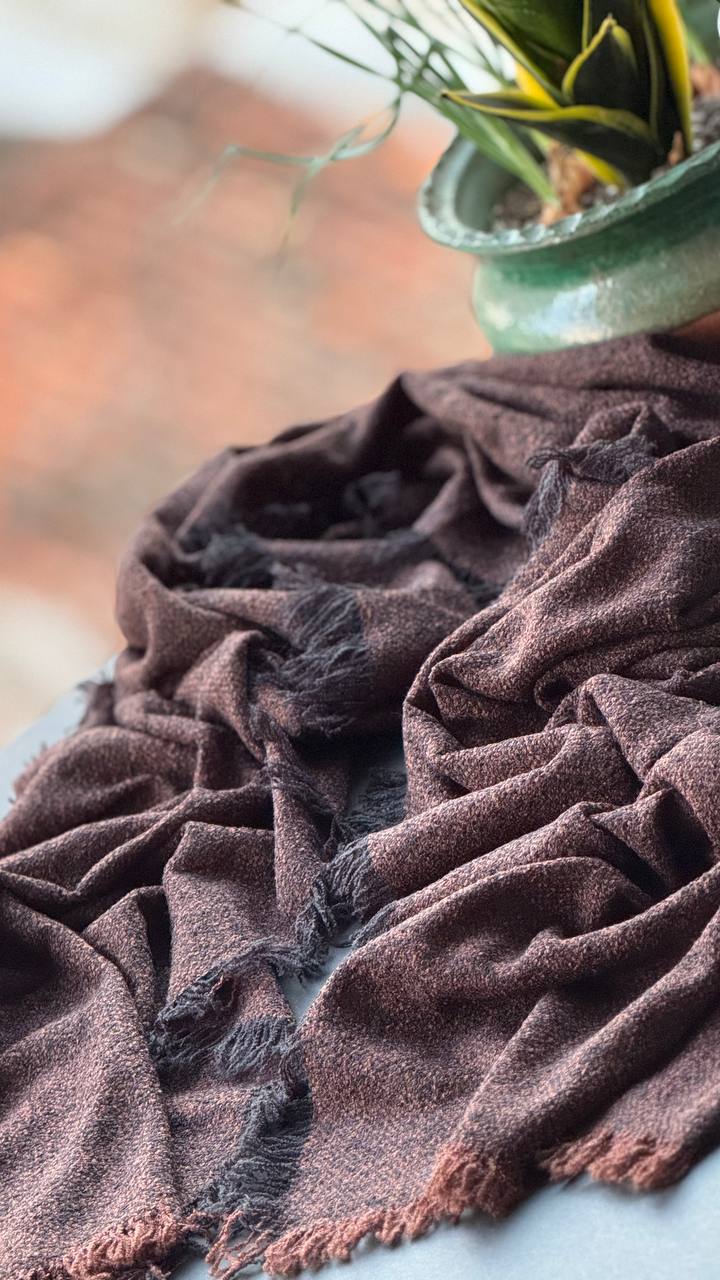 photo_10_2025-11-04_16-20-28