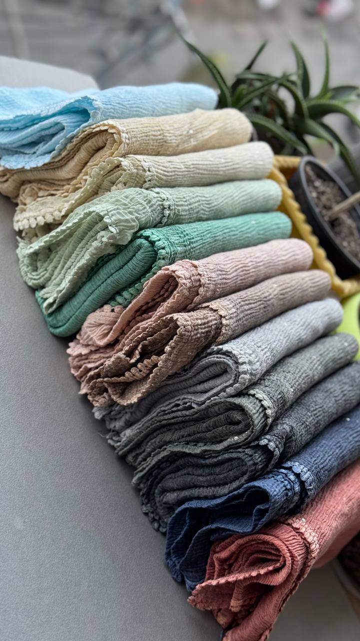 photo_17_2024-12-11_11-39-00