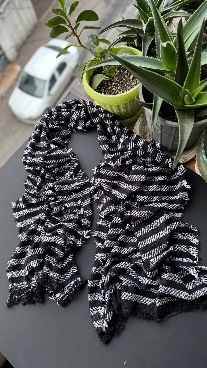 photo_1_2025-11-04_16-20-28