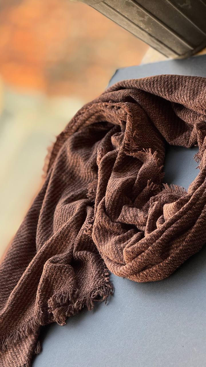 photo_1_2025-11-08_15-14-01