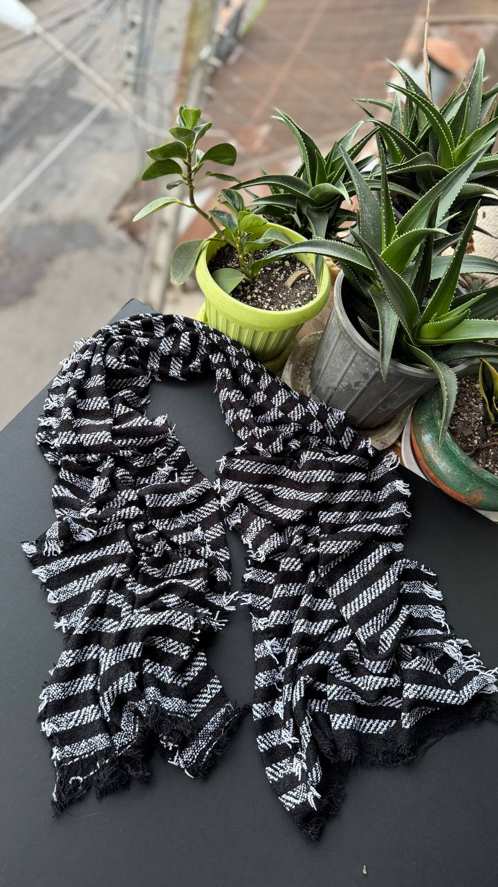 photo_2_2025-11-04_16-20-28