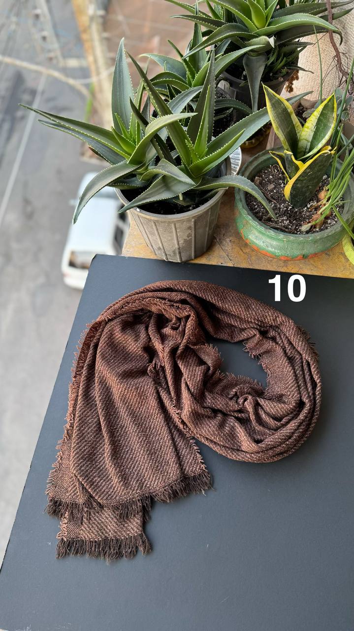 photo_2_2025-11-08_15-14-01