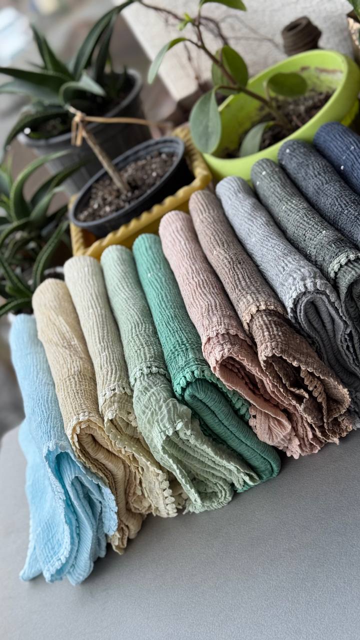 photo_3_2024-12-11_11-39-00