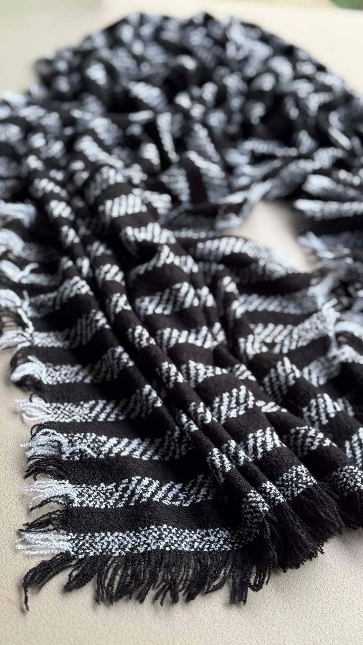 photo_3_2024-12-28_11-58-10