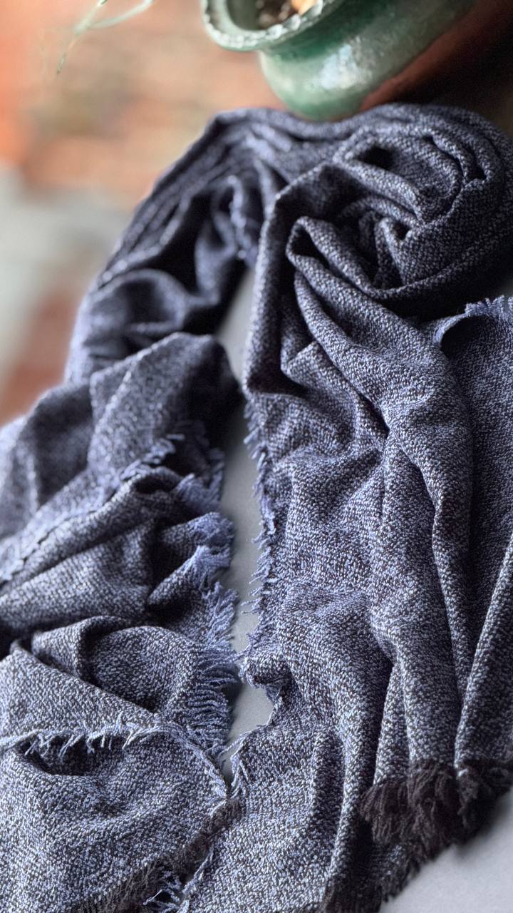 photo_3_2025-11-04_16-20-28