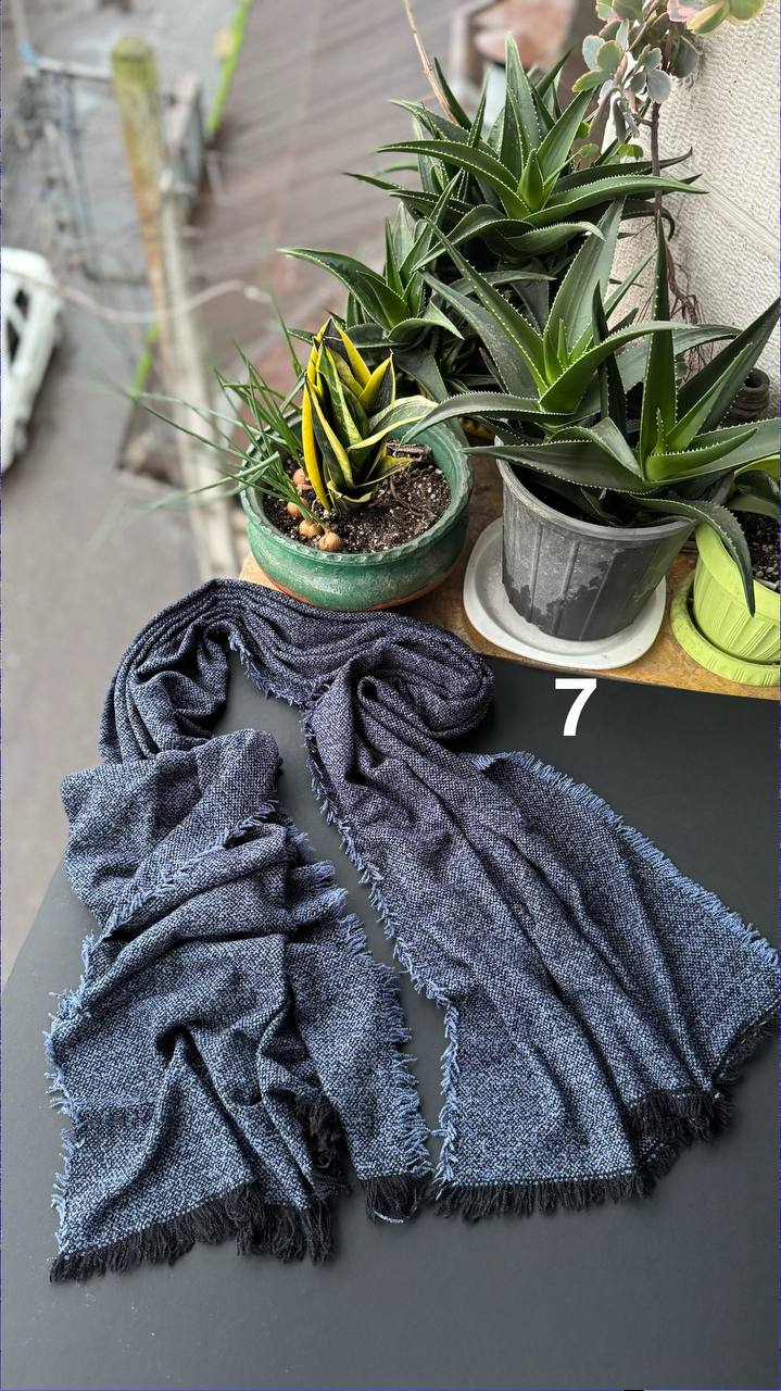 photo_4_2025-11-04_16-20-28