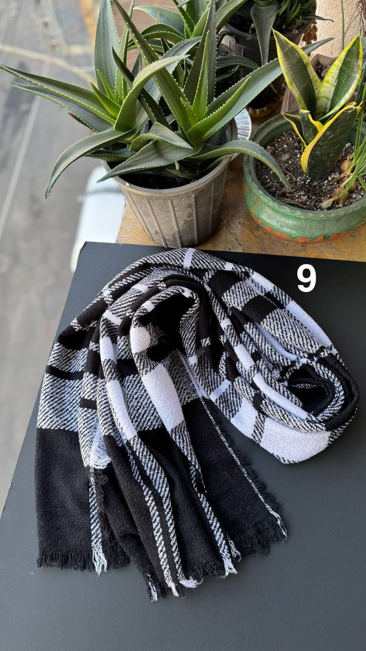 photo_4_2025-11-08_15-14-01