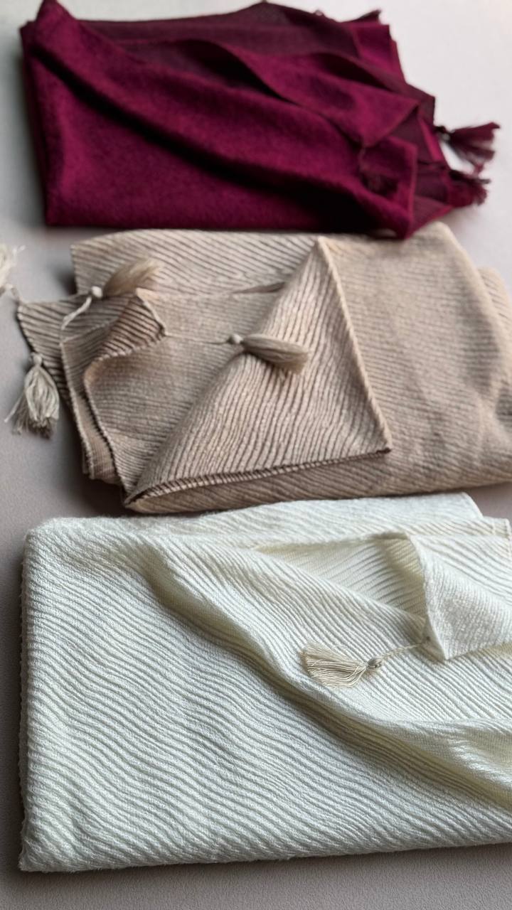 photo_5_2024-12-28_11-32-55