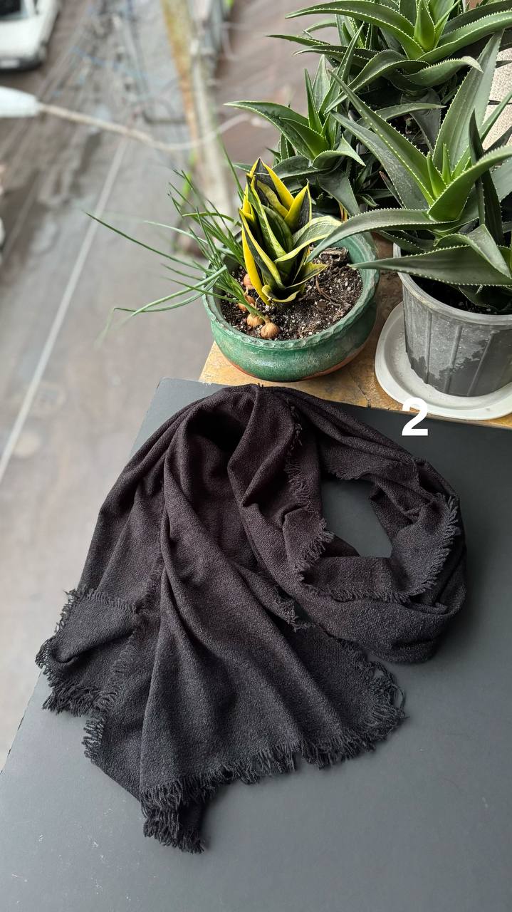 photo_5_2025-11-04_16-20-28