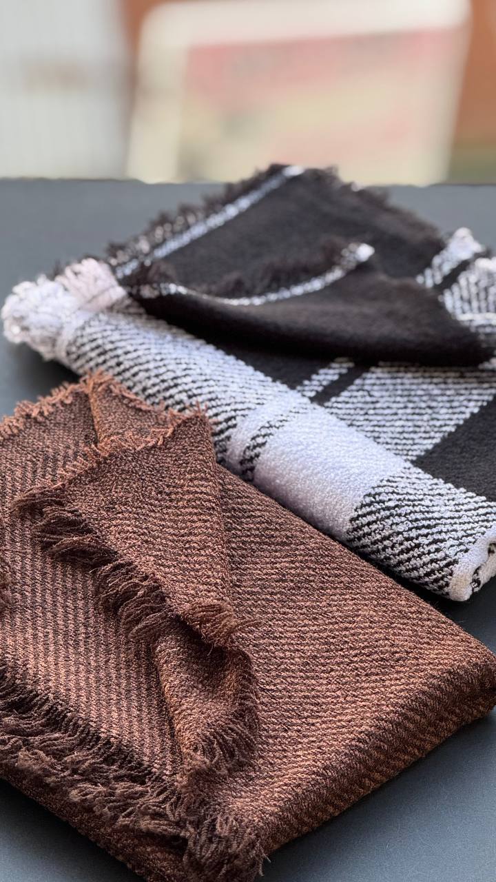 photo_5_2025-11-08_15-14-01