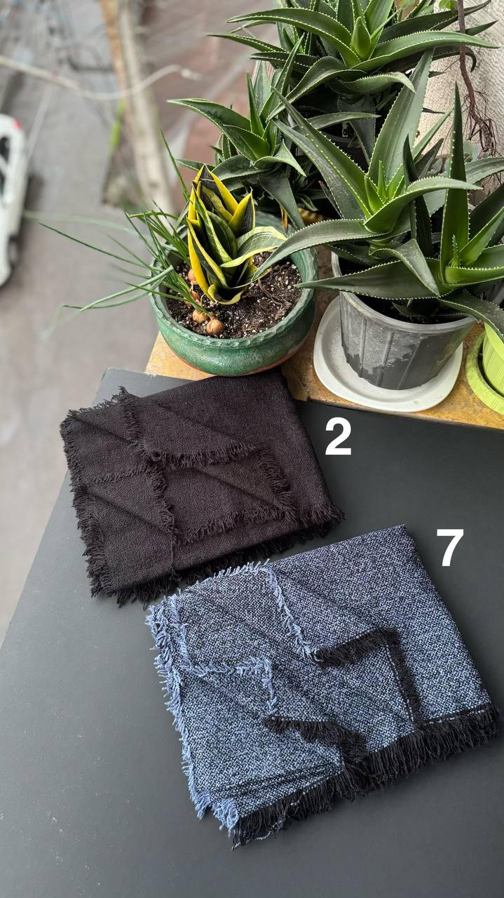 photo_6_2025-11-04_16-20-28