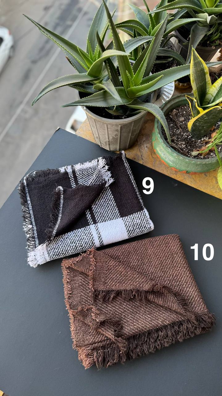 photo_6_2025-11-08_15-14-01