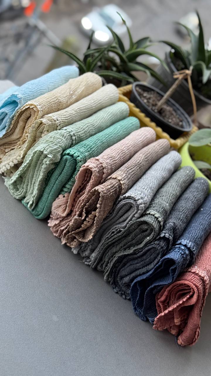 photo_8_2024-12-11_11-39-00