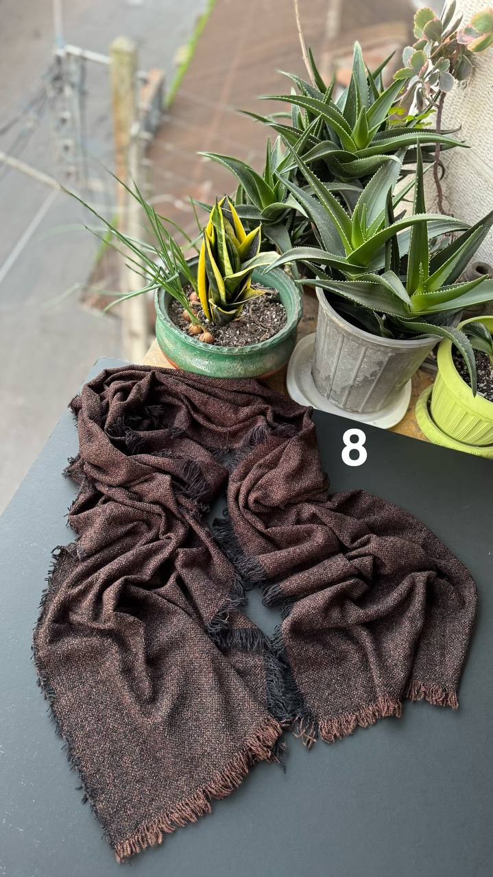 photo_8_2025-11-04_16-20-28