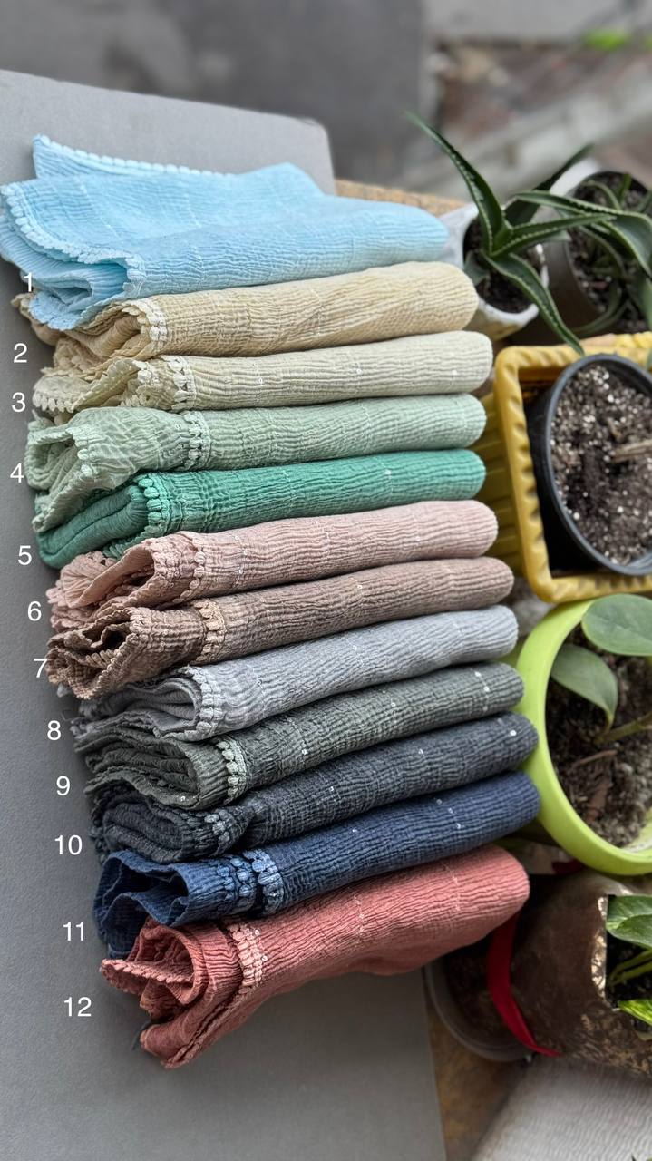 photo_9_2024-12-11_11-39-00