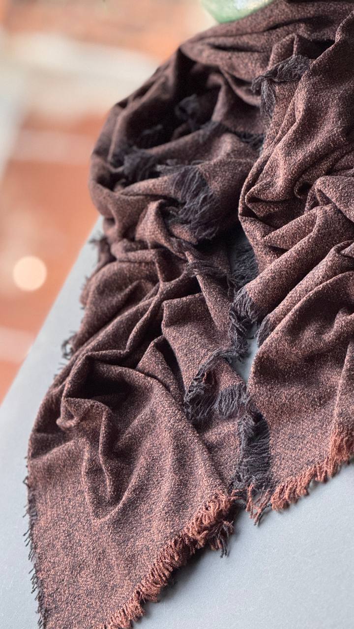 photo_9_2025-11-04_16-20-28