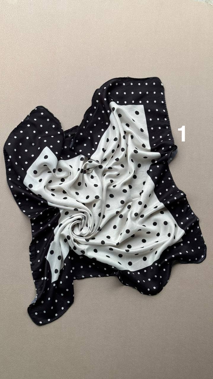 photo_11_2025-01-26_05-30-21