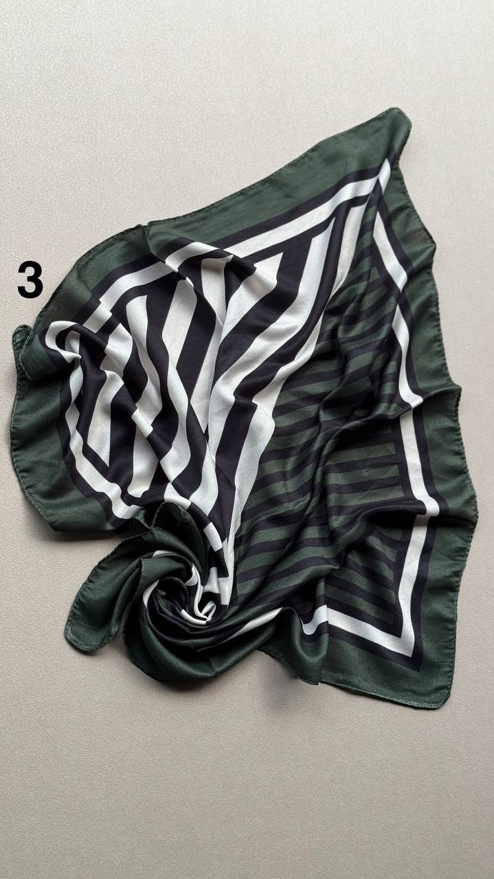 photo_11_2025-01-30_05-49-16