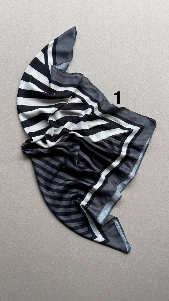 photo_12_2025-01-30_05-49-16