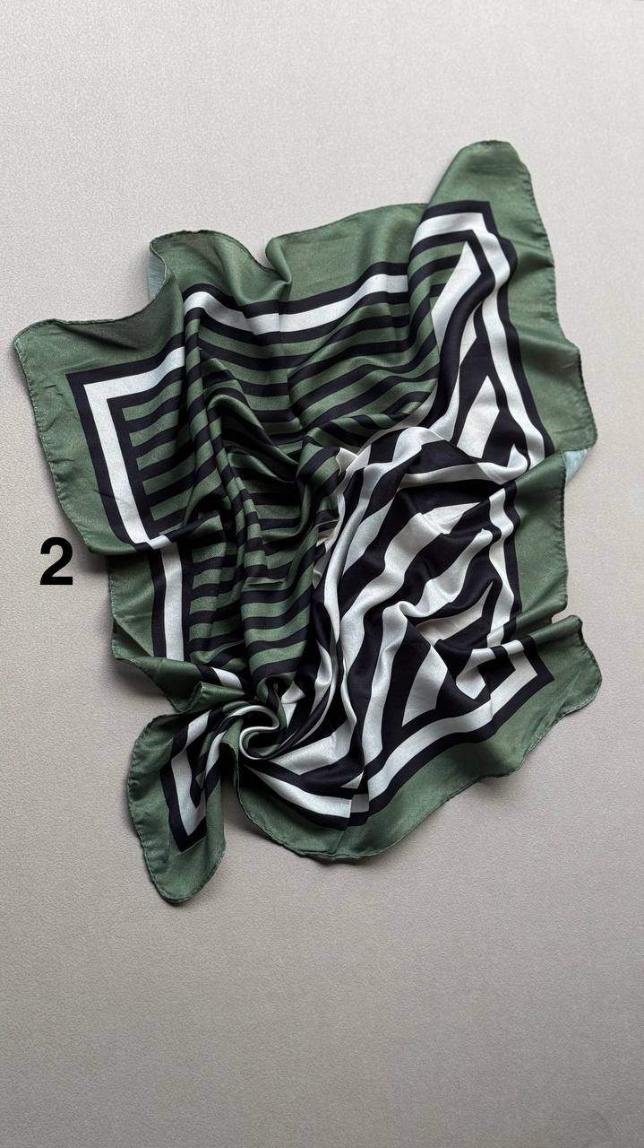 photo_14_2025-01-30_05-49-16