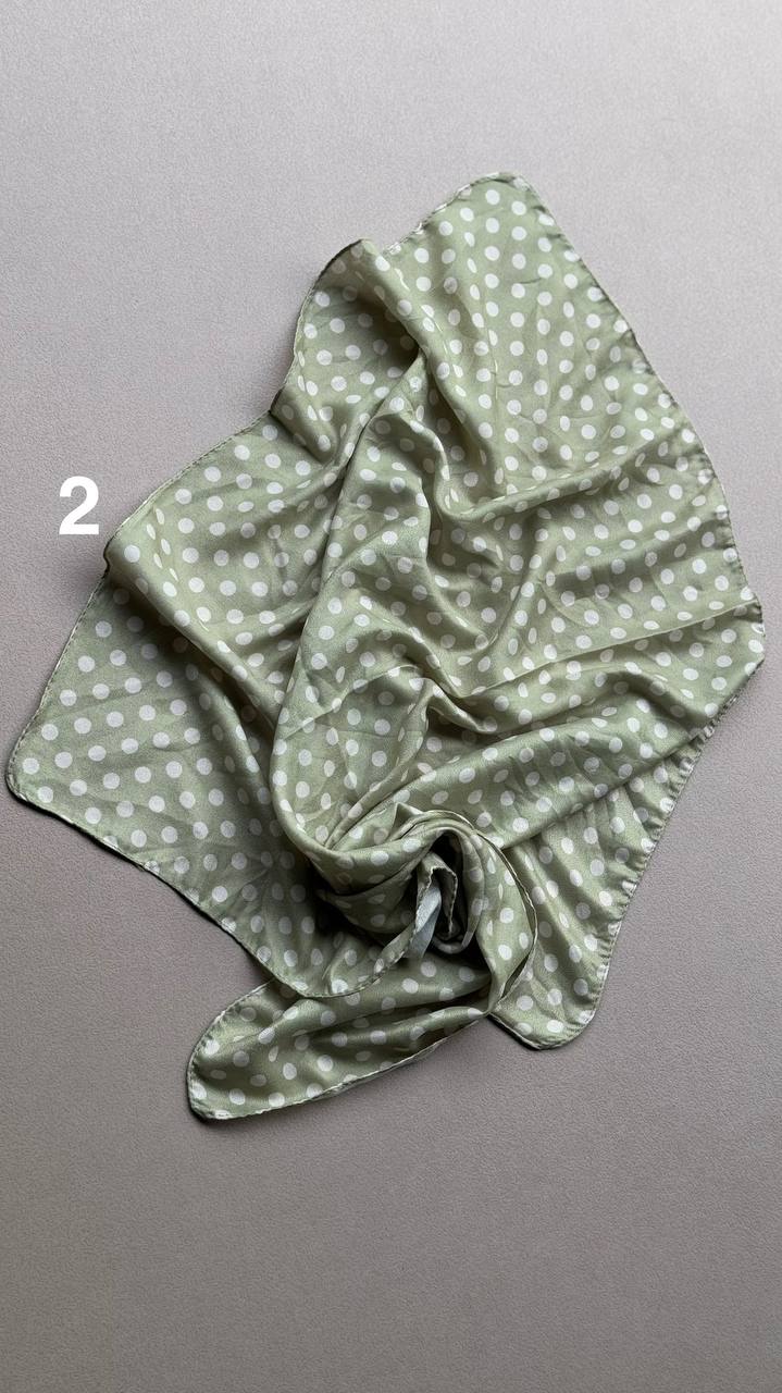 photo_1_2025-01-21_11-09-35