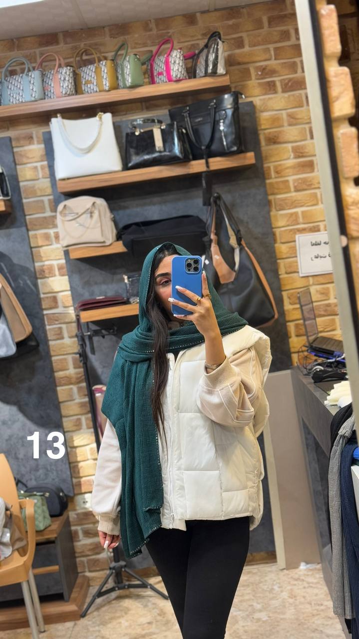 photo_3_2025-01-11_11-42-05