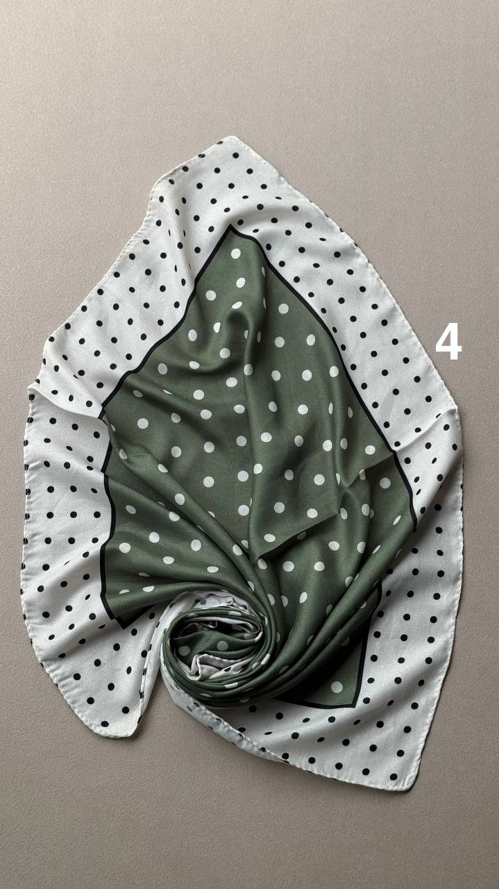 photo_8_2025-01-26_05-30-21