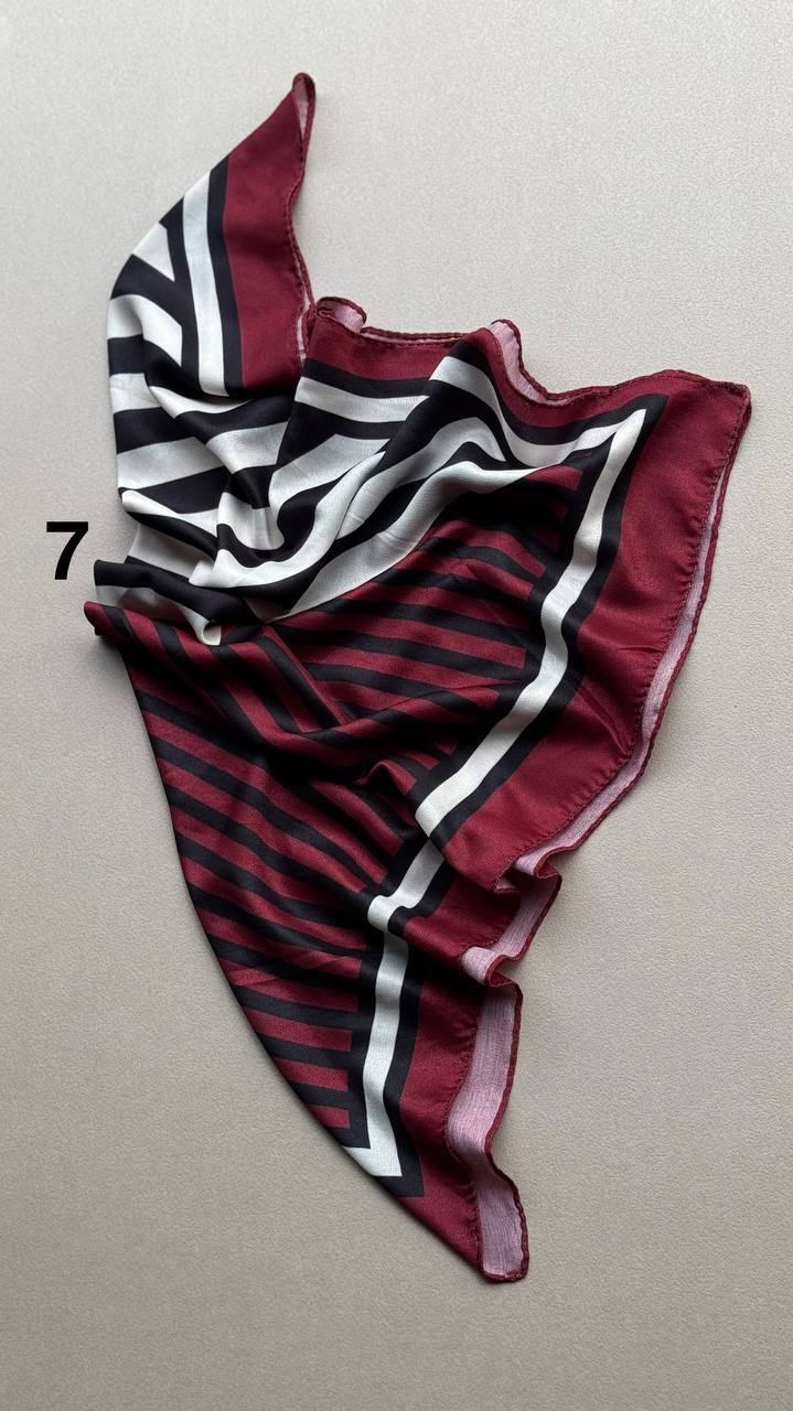 photo_8_2025-01-30_05-49-16