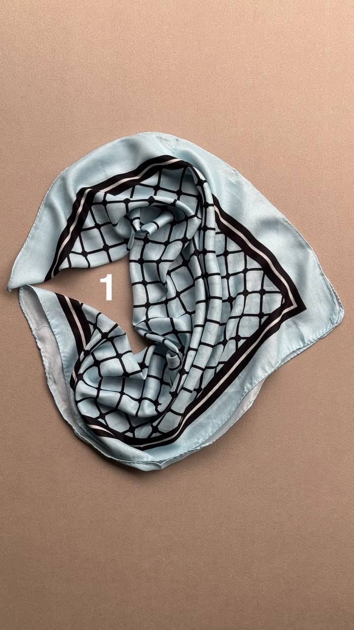 photo_10_2025-02-12_12-47-03