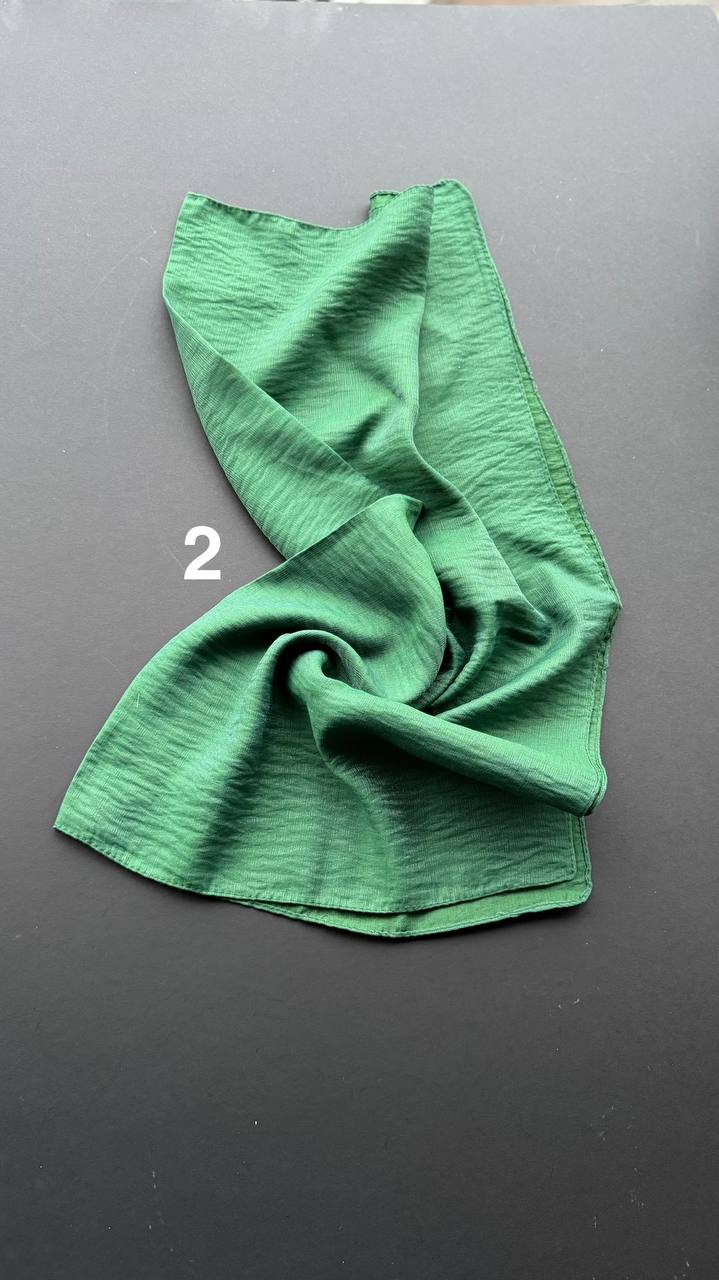 photo_10_2025-02-21_09-36-55