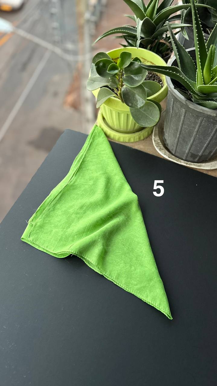 photo_11_2025-09-05_22-06-55