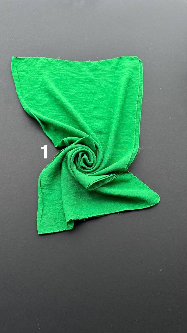 photo_15_2025-02-21_09-36-55