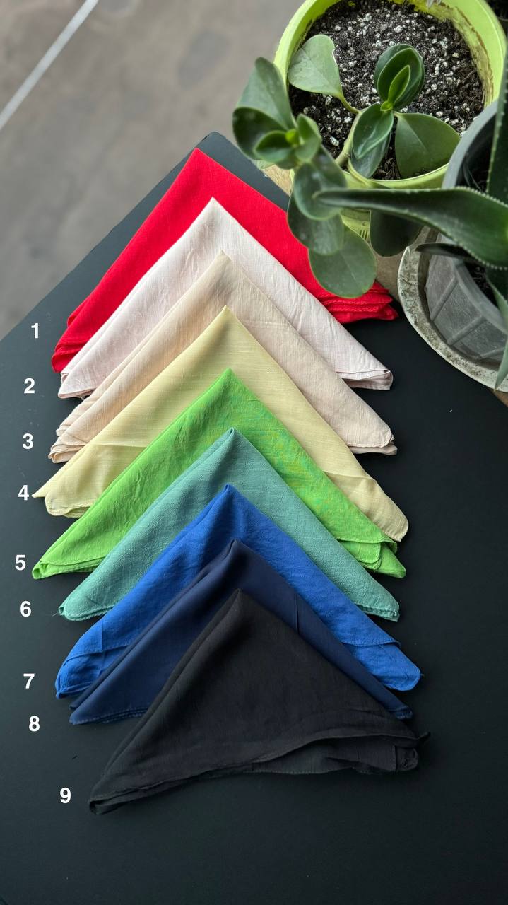 photo_1_2025-09-05_22-06-55